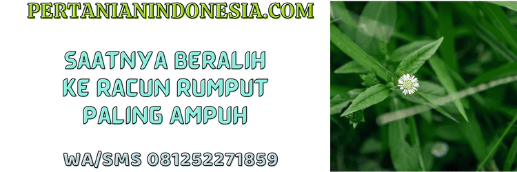 jual,murah,terjangkau,toko pertanian terdekat,pertanian indonesia